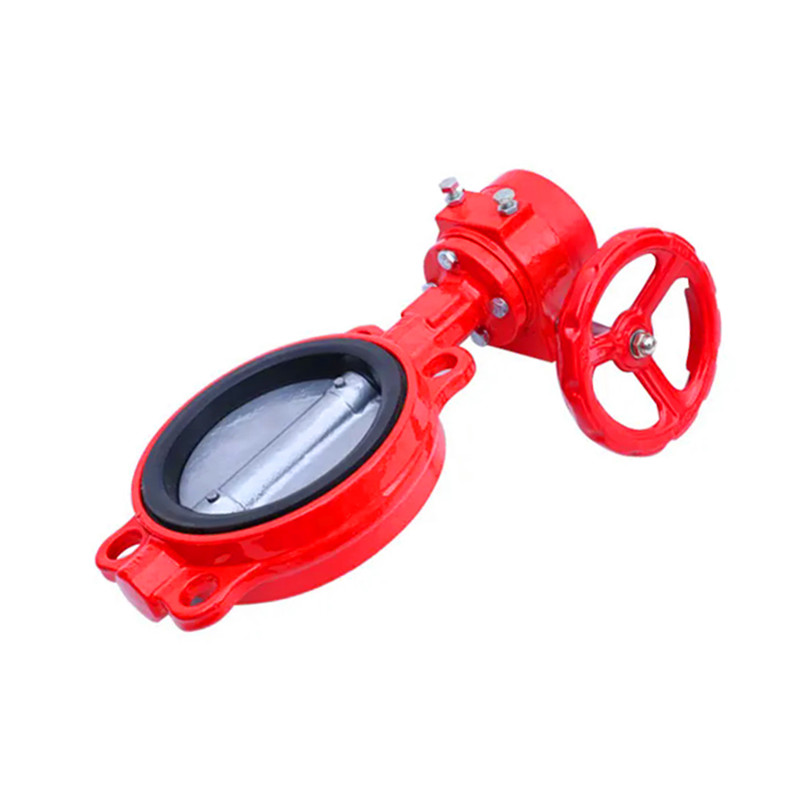 Ductile Iron Fire Fighting Signal Butterfly Valve
